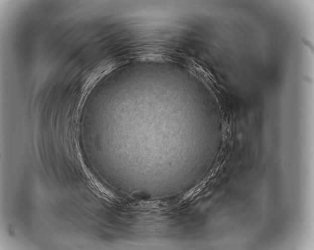 X0000098050049200804071518