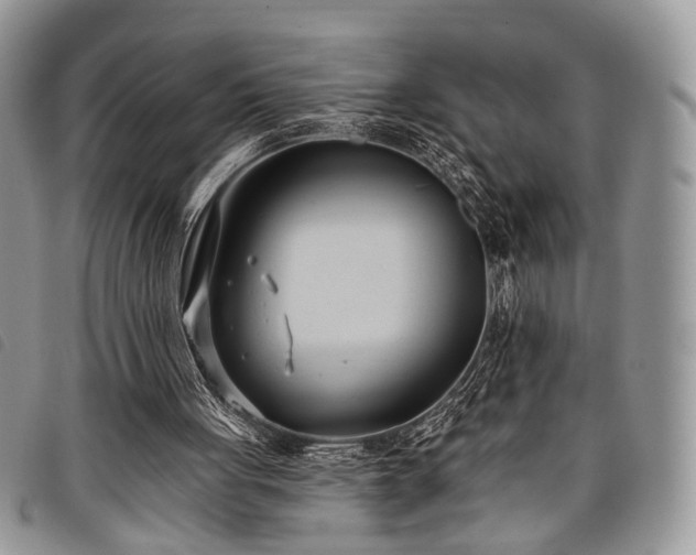 X0000098050051200804071518