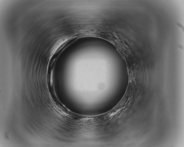 X0000098050052200804071518