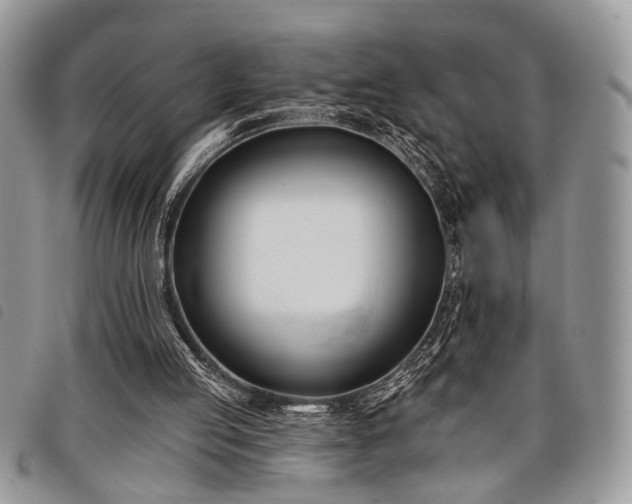 X0000098050053200804071518