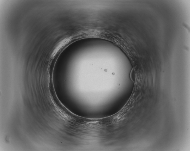 X0000098050054200804071518