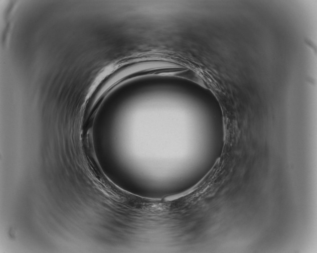 X0000098050056200804071518