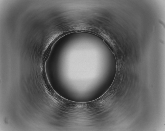 X0000098050060200804071518