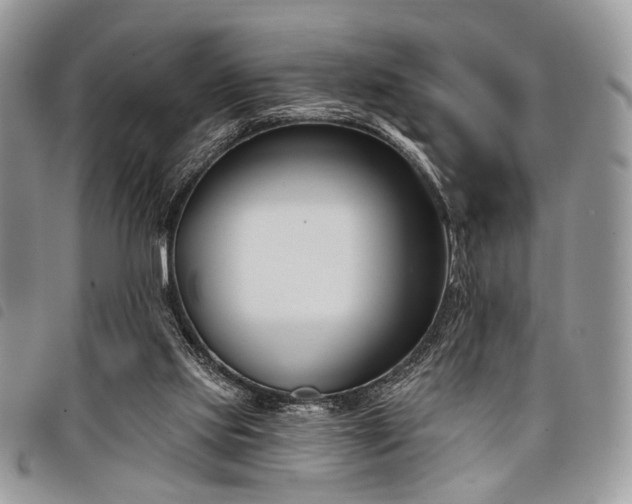 X0000098050061200804071518