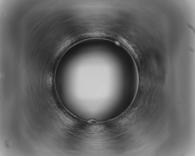 X0000098050063200804071518