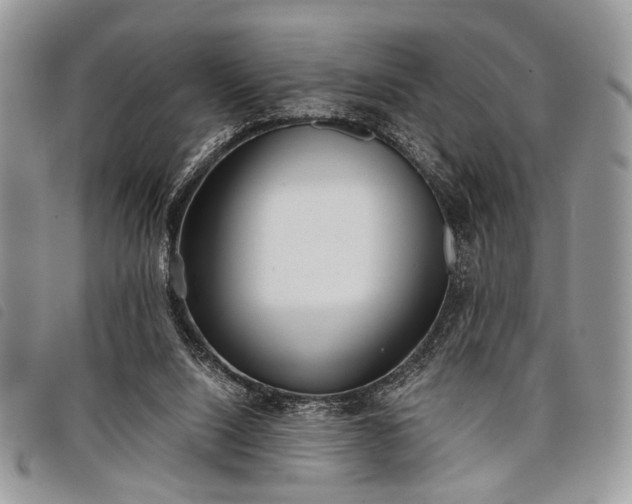 X0000098050064200804071518