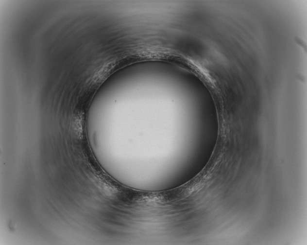 X0000098050065200804071518