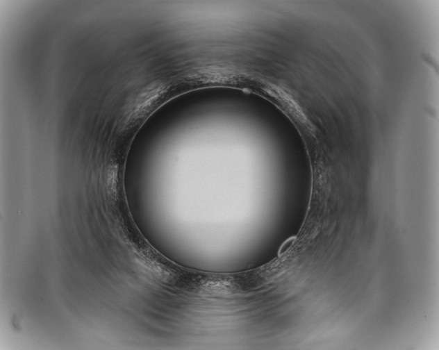 X0000098050066200804071518