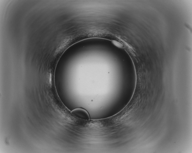 X0000098050067200804071518