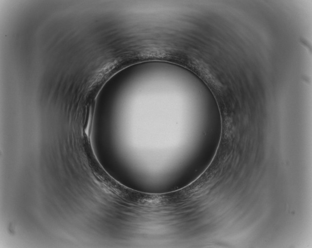 X0000098050068200804071518