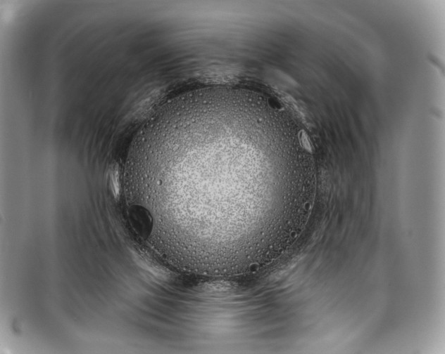 X0000098050069200804071518