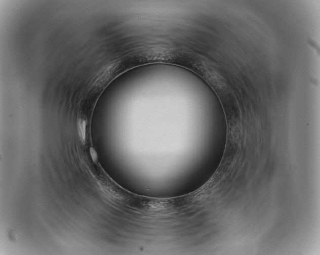 X0000098050070200804071518