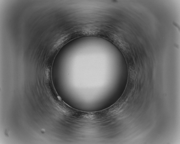 X0000098050071200804071518