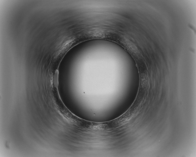 X0000098050072200804071518