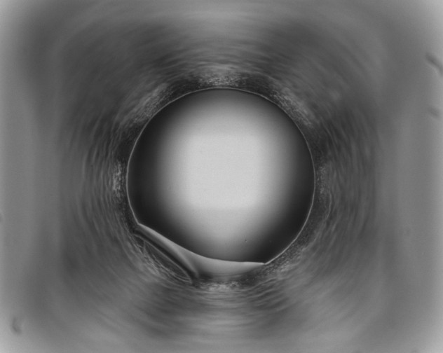 X0000098050073200804071518