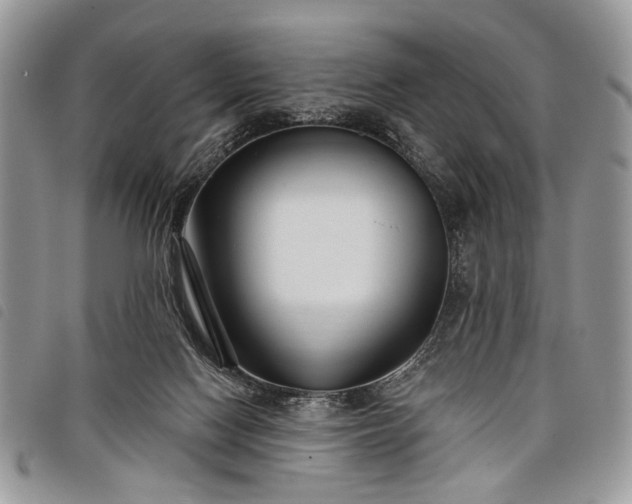 X0000098050074200804071518