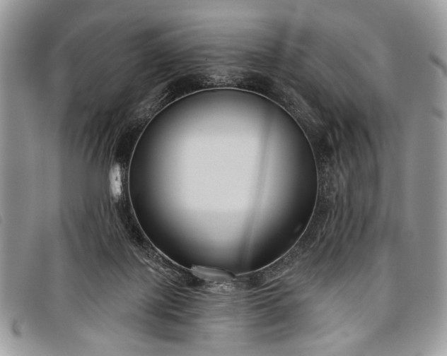 X0000098050075200804071518