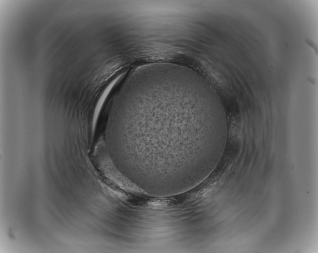 X0000098050076200804071518