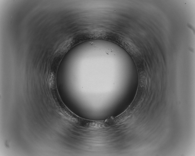 X0000098050077200804071518