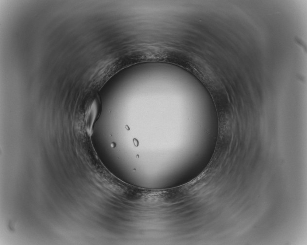 X0000098050078200804071518