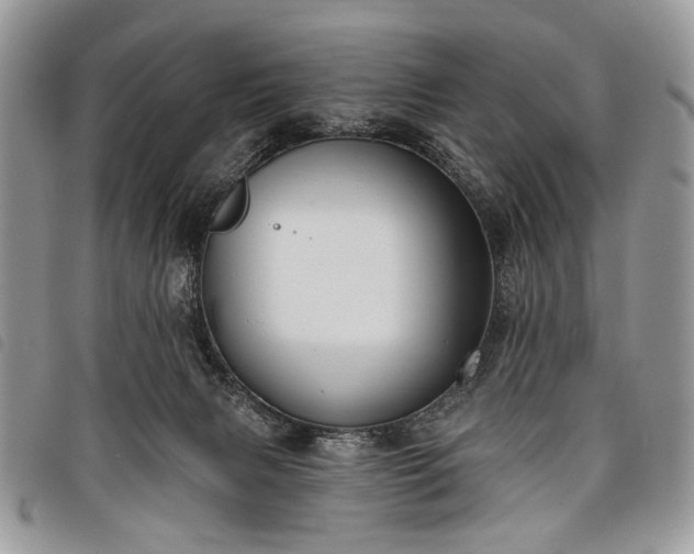 X0000098050079200804071518