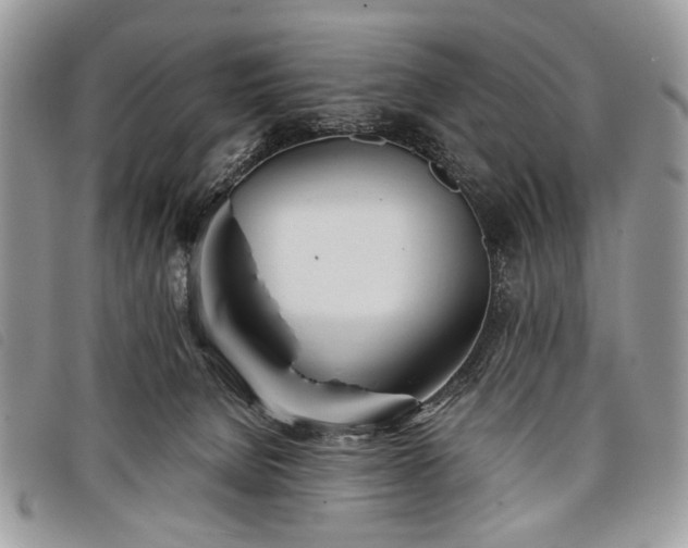 X0000098050080200804071518