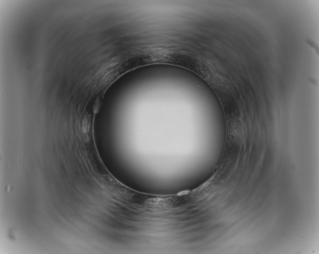 X0000098050082200804071518