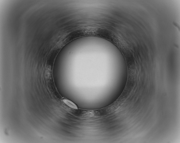 X0000098050083200804071518