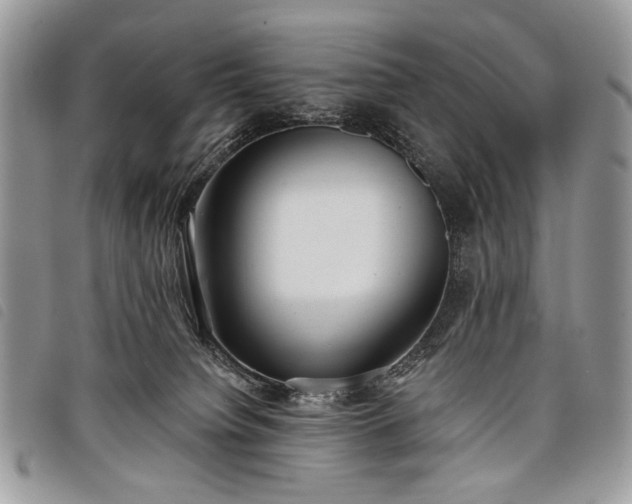 X0000098050084200804071518