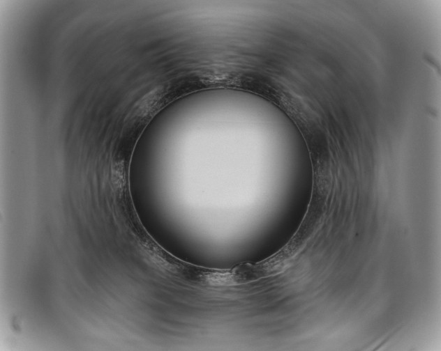 X0000098050085200804071518