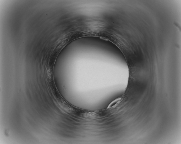 X0000098050086200804071518