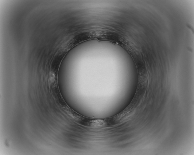 X0000098050087200804071518