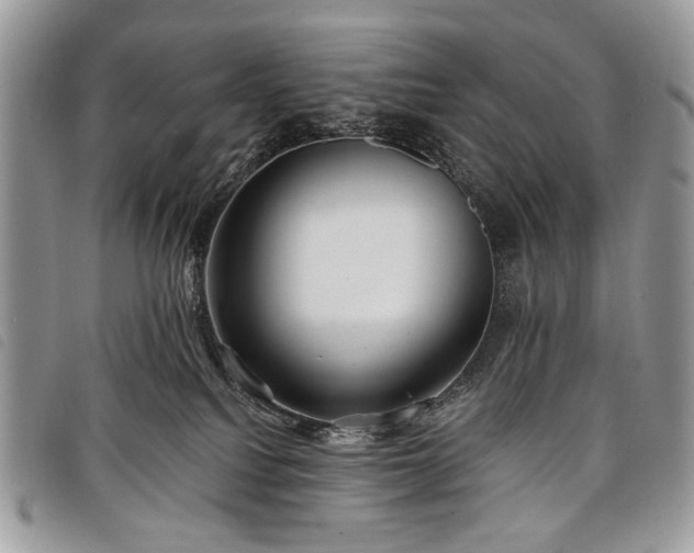 X0000098050088200804071518