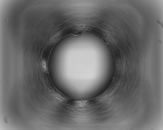 X0000098050089200804071518