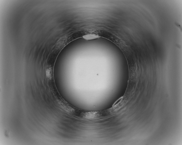 X0000098050090200804071518