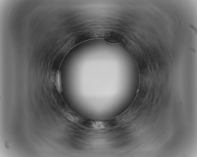 X0000098050091200804071518