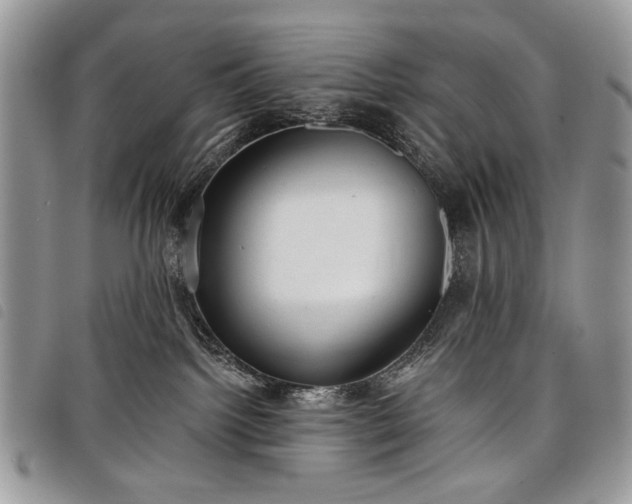 X0000098050092200804071518