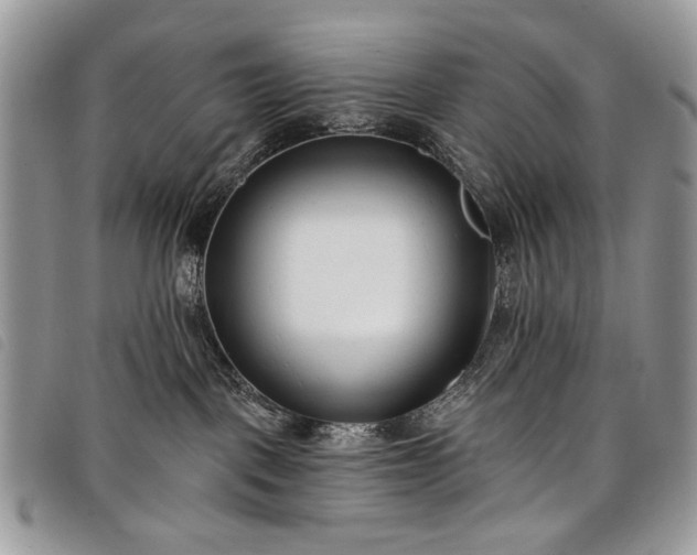 X0000098050093200804071518