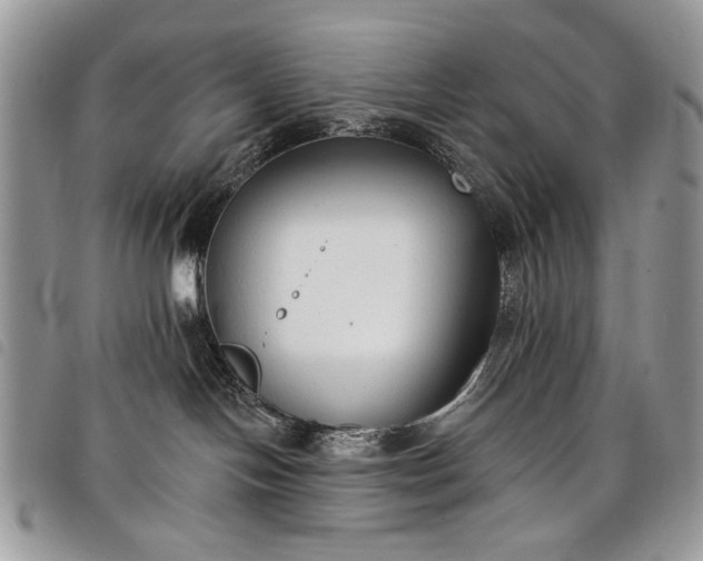 X0000098050094200804071518