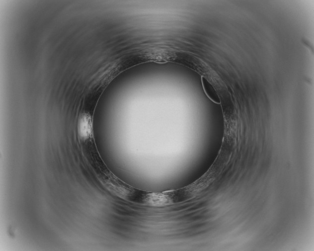 X0000098050095200804071518