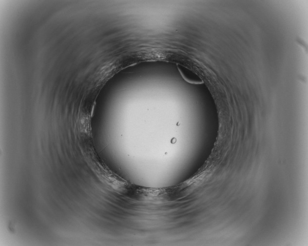 X0000098050096200804071518