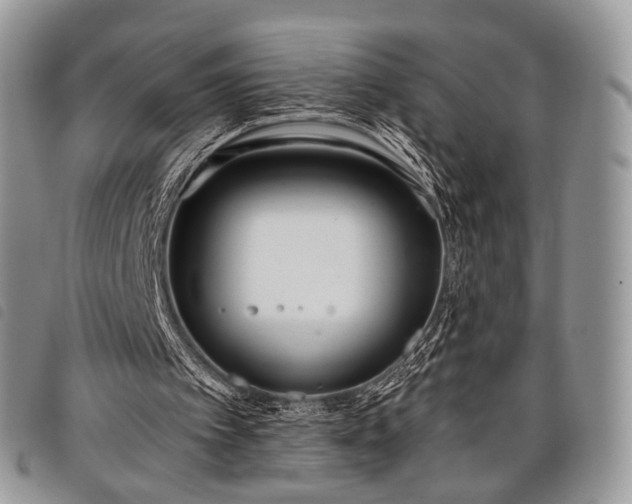 X0000098050097200804071518