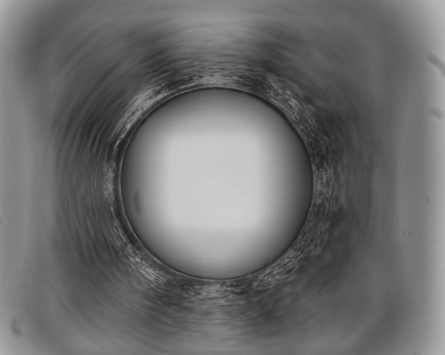 X0000098050098200804071518