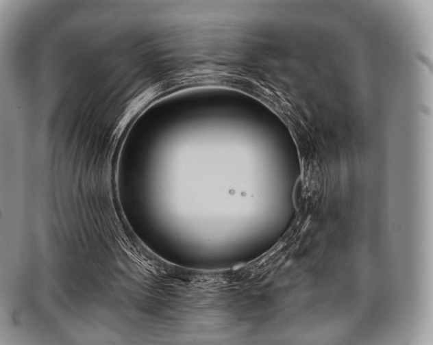 X0000098050099200804071518