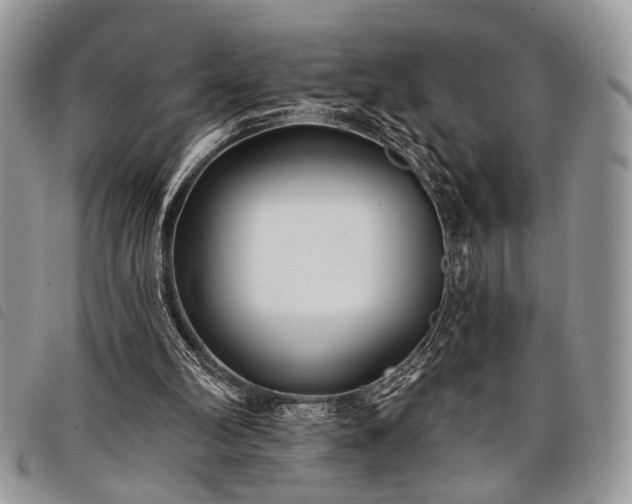 X0000098050102200804071518