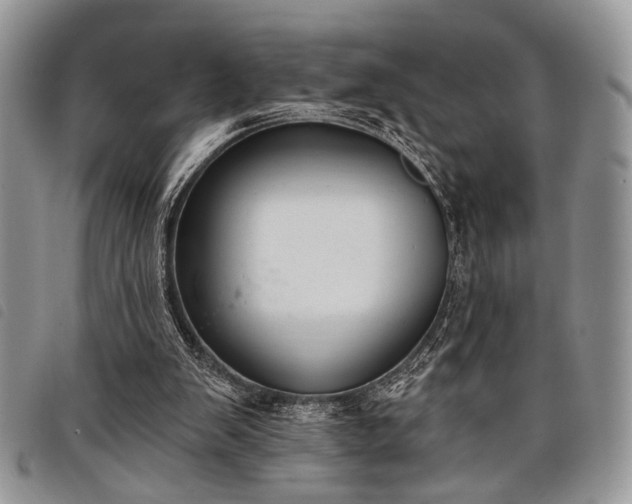 X0000098050103200804071518