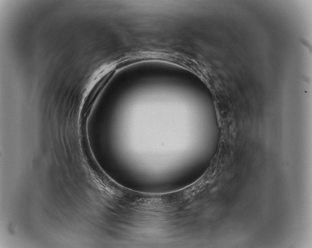 X0000098050104200804071518