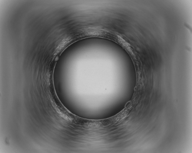 X0000098050106200804071518