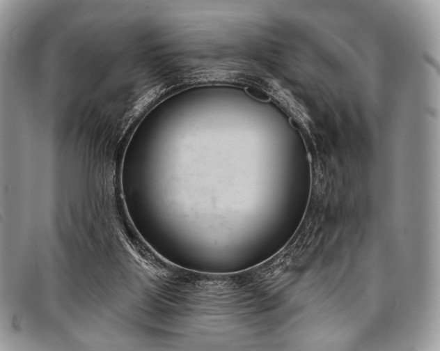 X0000098050107200804071518