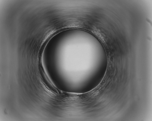 X0000098050108200804071517